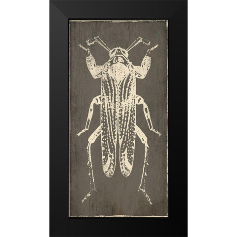 Bug Life Four Black Modern Wood Framed Art Print by Villa, Mlli