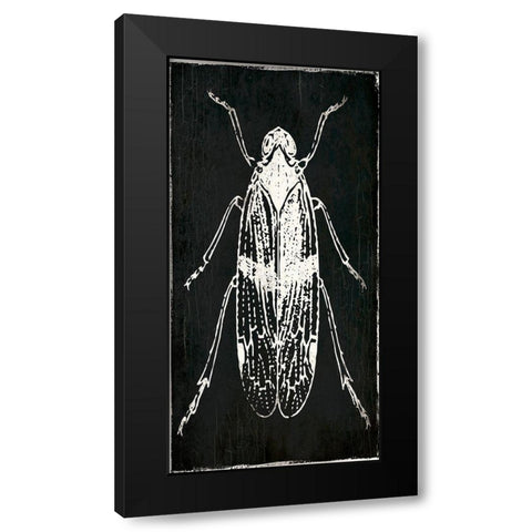 Bug Life One Black Black Modern Wood Framed Art Print with Double Matting by Villa, Mlli