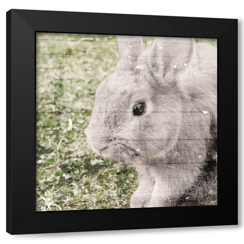 Bunny See Black Modern Wood Framed Art Print by Villa, Mlli