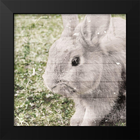 Bunny See Black Modern Wood Framed Art Print by Villa, Mlli