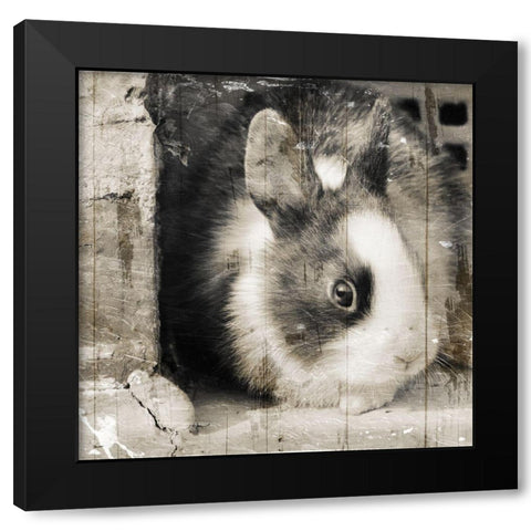Bunny See Again Black Modern Wood Framed Art Print by Villa, Mlli