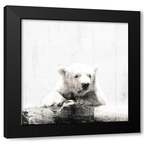 Polar Looks White Black Modern Wood Framed Art Print with Double Matting by Villa, Mlli