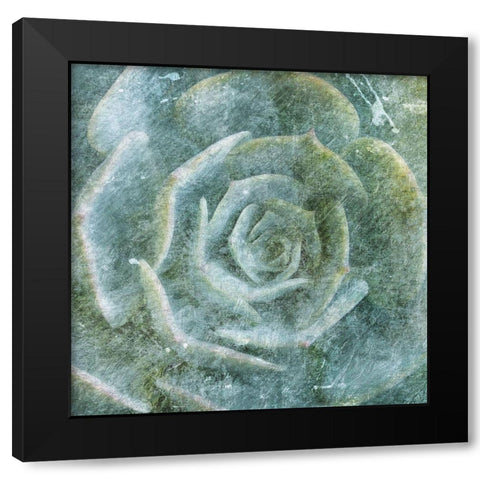 Succulent Through the Fog Black Modern Wood Framed Art Print with Double Matting by Villa, Milli