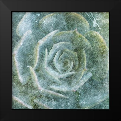 Succulent Through the Fog Black Modern Wood Framed Art Print by Villa, Milli