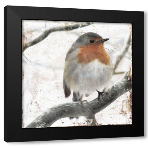 Cold Bird Black Modern Wood Framed Art Print with Double Matting by Villa, Mlli