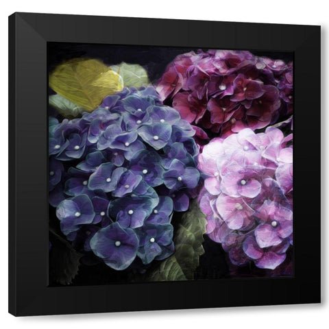 Purple Flower Bushels Black Modern Wood Framed Art Print by Villa, Mlli