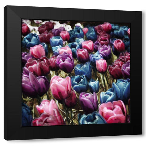Colorful Tulips Black Modern Wood Framed Art Print with Double Matting by Villa, Mlli