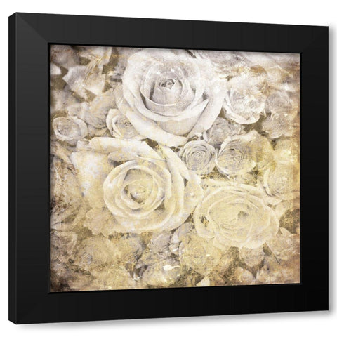 Soft White Yellow Roses Black Modern Wood Framed Art Print with Double Matting by Villa, Mlli