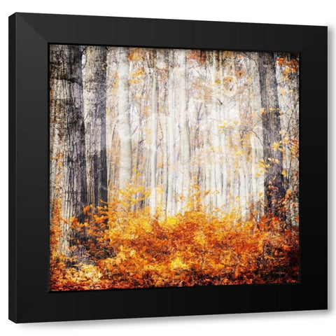 Fall in The Leaves Black Modern Wood Framed Art Print by Villa, Mlli
