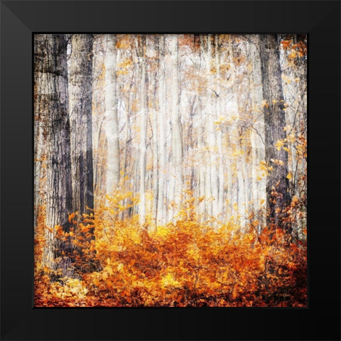 Fall in The Leaves Black Modern Wood Framed Art Print by Villa, Mlli