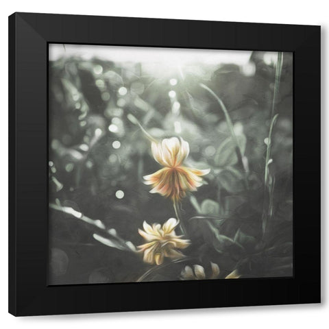 Flower In The Sun Black Modern Wood Framed Art Print with Double Matting by Villa, Mlli