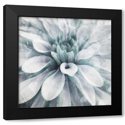 Flower Face Black Modern Wood Framed Art Print by Villa, Mlli