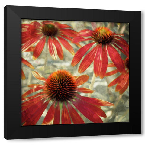 Three Flower Tops Black Modern Wood Framed Art Print with Double Matting by Villa, Mlli