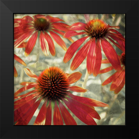 Three Flower Tops Black Modern Wood Framed Art Print by Villa, Mlli