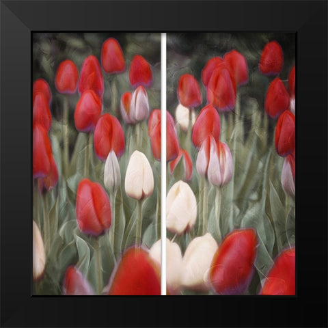 Red Flowers in a Group Black Modern Wood Framed Art Print by Villa, Mlli