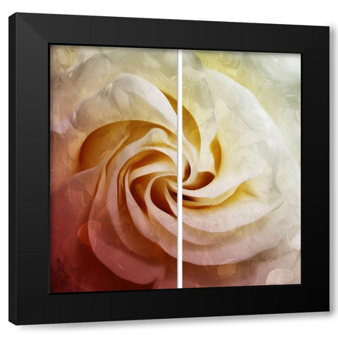 Close To The Flower Black Modern Wood Framed Art Print with Double Matting by Villa, Mlli