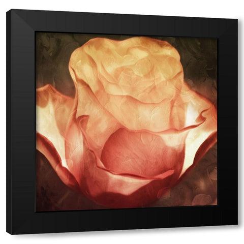 Fire Flower Black Modern Wood Framed Art Print by Villa, Mlli