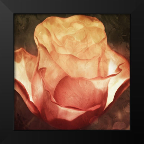 Fire Flower Black Modern Wood Framed Art Print by Villa, Mlli