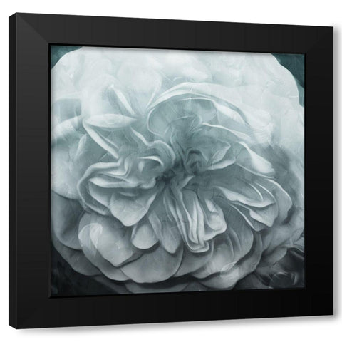Deep Flower Black Modern Wood Framed Art Print with Double Matting by Villa, Mlli