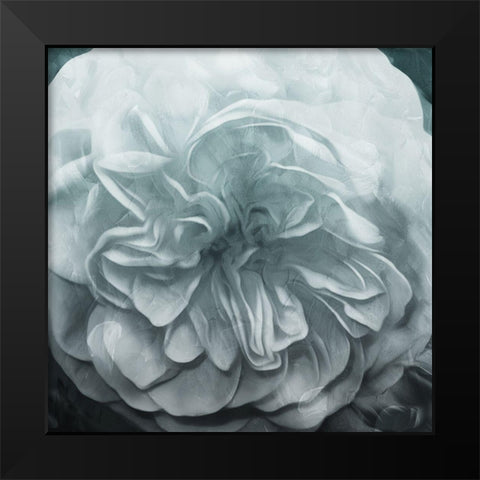 Deep Flower Black Modern Wood Framed Art Print by Villa, Mlli
