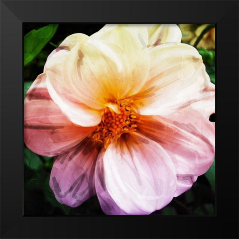 Flower Flow Black Modern Wood Framed Art Print by Villa, Mlli