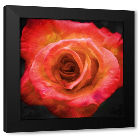 Burning Flower Black Modern Wood Framed Art Print by Villa, Mlli