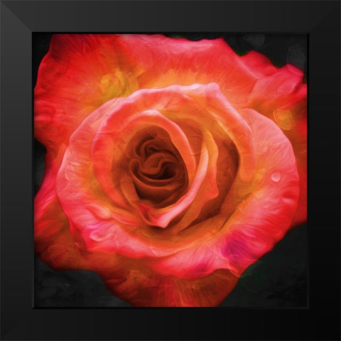 Burning Flower Black Modern Wood Framed Art Print by Villa, Mlli
