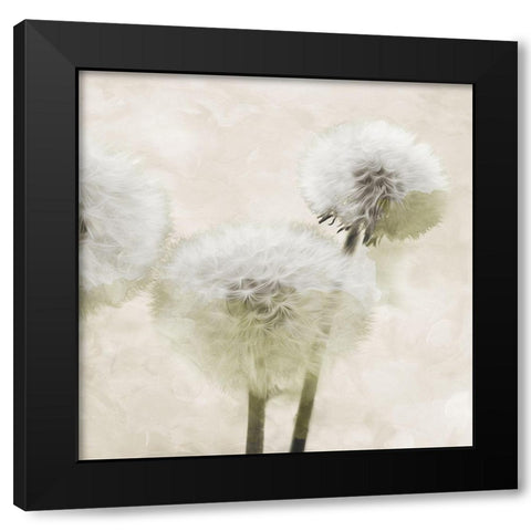 Make Another Wish Cream Black Modern Wood Framed Art Print by Villa, Mlli