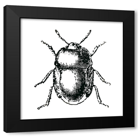 Bug Life Black Modern Wood Framed Art Print with Double Matting by Villa, Mlli