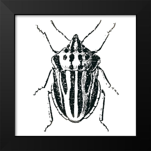 Bug Life Three Black Modern Wood Framed Art Print by Villa, Mlli