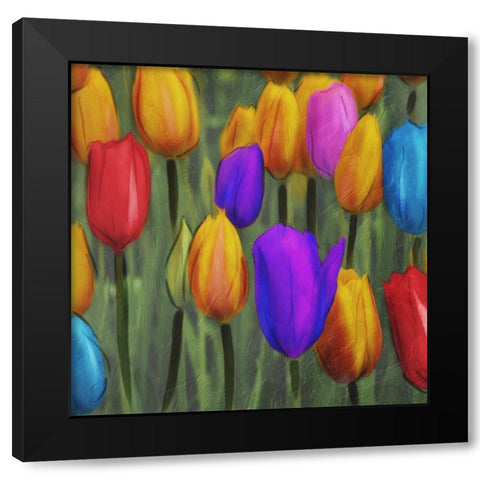 Tulips Patch Black Modern Wood Framed Art Print by Villa, Mlli