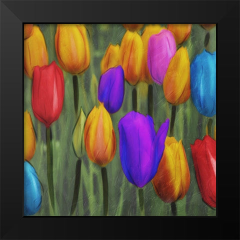 Tulips Patch Black Modern Wood Framed Art Print by Villa, Mlli