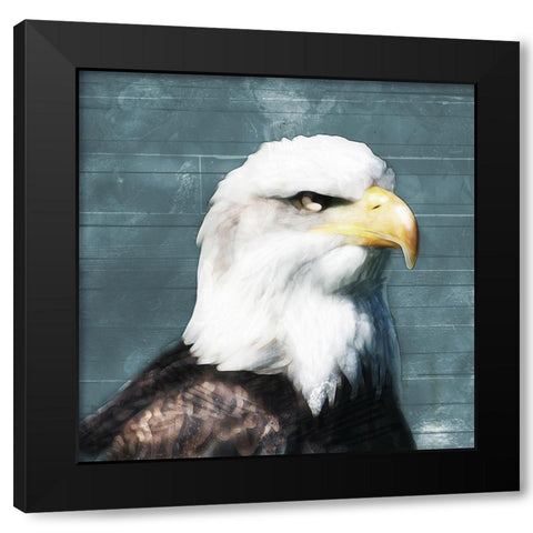 Eagle Eye Black Modern Wood Framed Art Print with Double Matting by Villa, Mlli