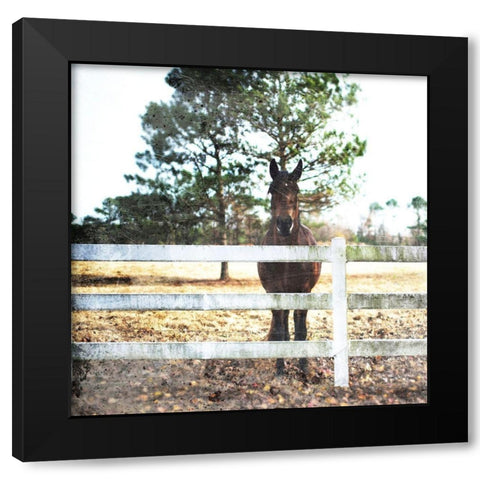 Horse Look Black Modern Wood Framed Art Print with Double Matting by Villa, Mlli