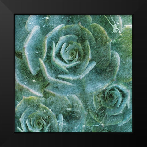 Three Succulents Black Modern Wood Framed Art Print by Villa, Mlli