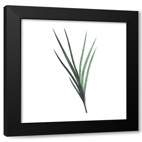 Green Leaves Black Modern Wood Framed Art Print by Villa, Mlli