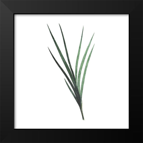 Green Leaves Black Modern Wood Framed Art Print by Villa, Mlli
