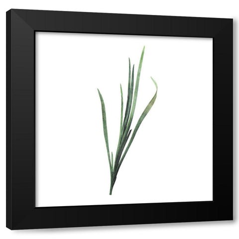 Green Leaves Two Black Modern Wood Framed Art Print with Double Matting by Villa, Mlli