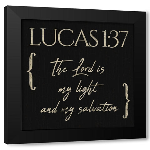 Lucas The Lord Black Modern Wood Framed Art Print with Double Matting by Villa, Mlli