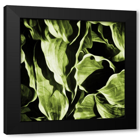Green Hue Leaves Black Modern Wood Framed Art Print by Villa, Mlli