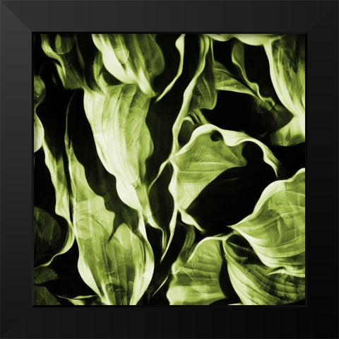 Green Hue Leaves Black Modern Wood Framed Art Print by Villa, Mlli