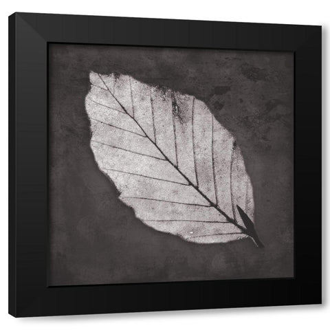 Classic Leaf Black Modern Wood Framed Art Print by Villa, Mlli