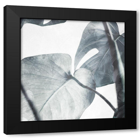 Both Relaxing Off The Stem Stone Black Modern Wood Framed Art Print with Double Matting by Villa, Milli