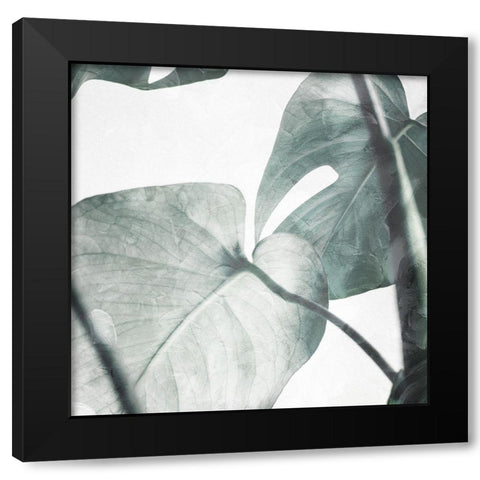 Both Relaxing Off The Stem Black Modern Wood Framed Art Print by Villa, Mlli