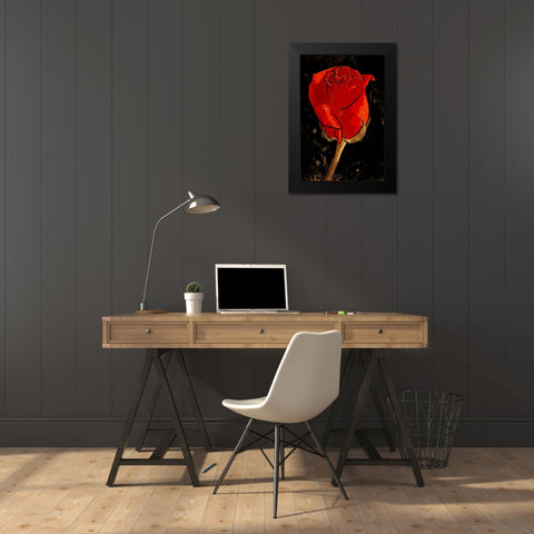 Golden Rose Black Modern Wood Framed Art Print by OnRei