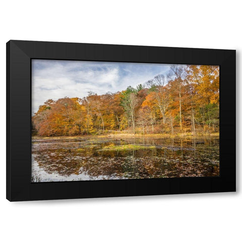 Over The Grove Black Modern Wood Framed Art Print by Orlando