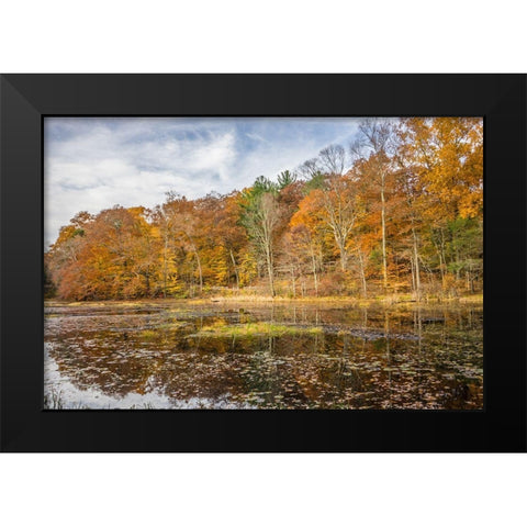 Over The Grove Black Modern Wood Framed Art Print by Orlando