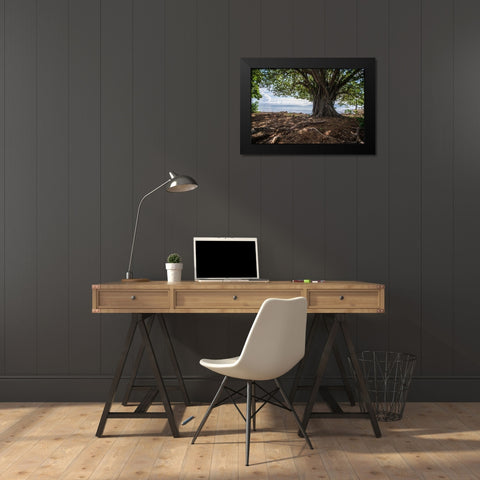 Shaded Tree Black Modern Wood Framed Art Print by Orlando