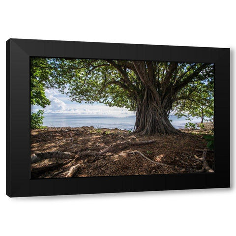 Shaded Tree Black Modern Wood Framed Art Print by Orlando