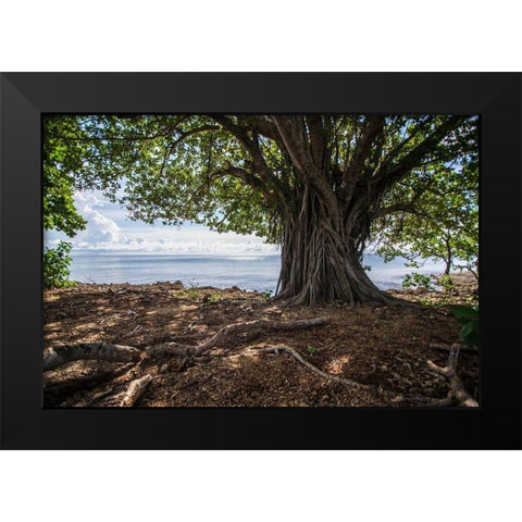 Shaded Tree Black Modern Wood Framed Art Print by Orlando